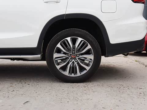 2019�� 30T ������������Ⱥ�����