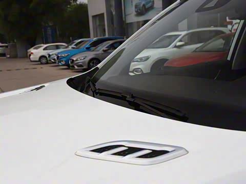 2019�� 30T ������������Ⱥ�����