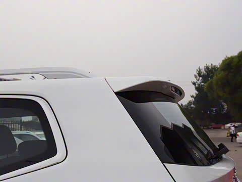 2019�� 30T ������������Ⱥ�����