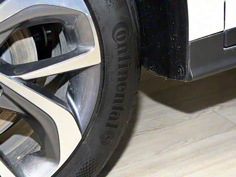 2019�� ����������