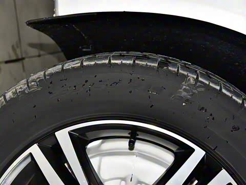 2021�� T5 ������Զ�˶���