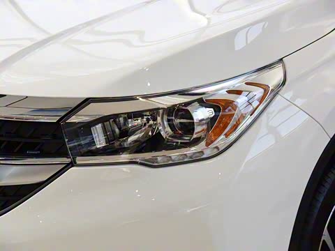 2019�� 1.5L ����������