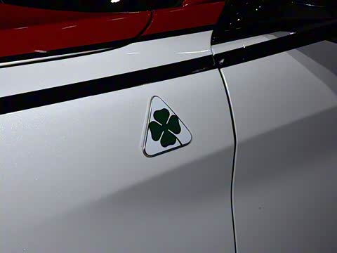 2019�� 2.9T 510HP F1������