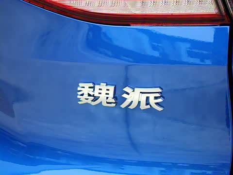 2019�� 2.0T �����콢�� ��VI