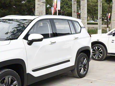 2019�� 1.5T CVT���ܼݿغ����� ��VI