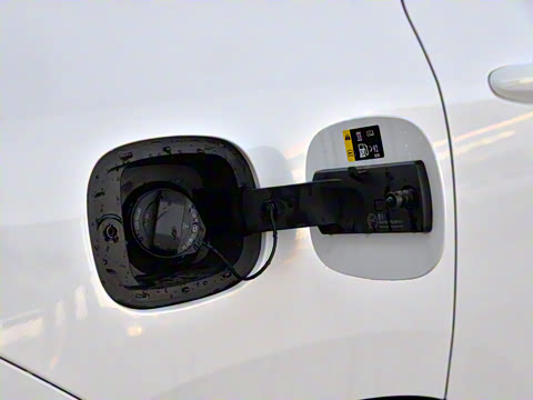 2020�� PHEV 2.0T �콢��