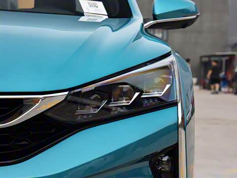 2020�� 230T �Զ��ſ��