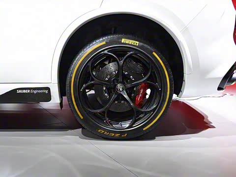 2019�� 2.9T 510HP F1������