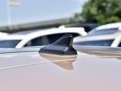 2021�� ������PURE+������