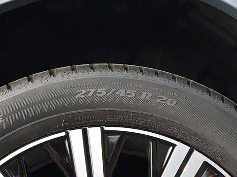 2020�� T6 ���ź����� 7��