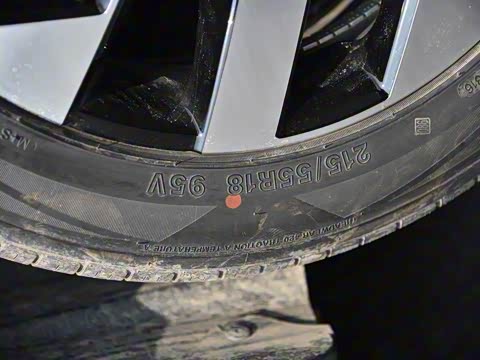 2019�� 1.5T �ֶ�������