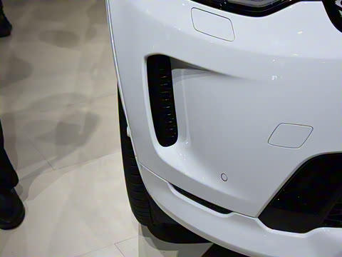 2021�� P300e ���ܿƼ���