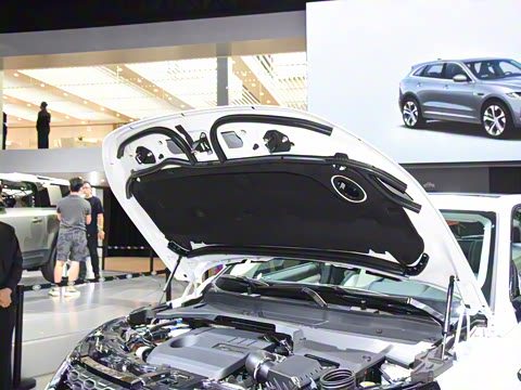 2021�� P300e ���ܿƼ���