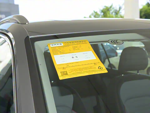 2022�� 330TSI �Զ�����R-Line�콢��