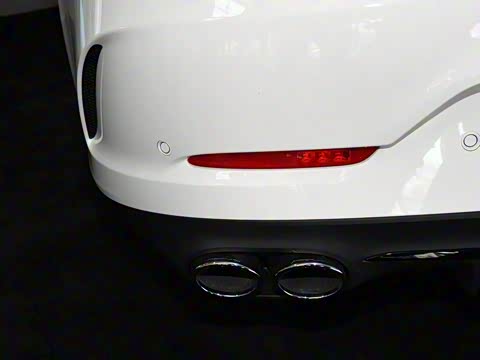 2019�� AMG GT 50 �����ܳ�