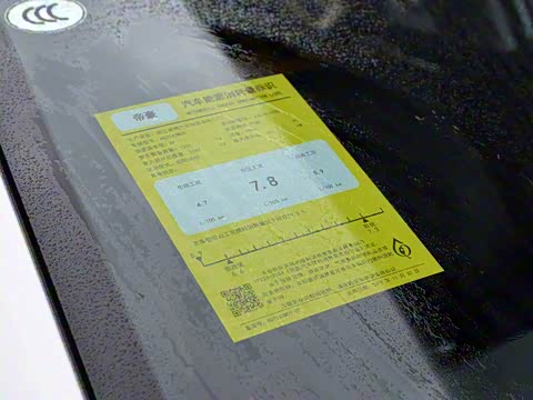 2020�� 1.4T �ֶ�������