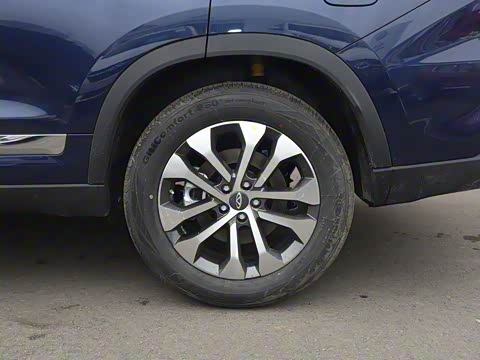 2019�� 1.5TCI �ֶ���Ӣ��