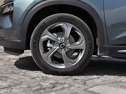 2021�� ���ݰ�