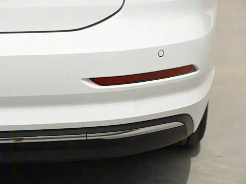 2019�� ������