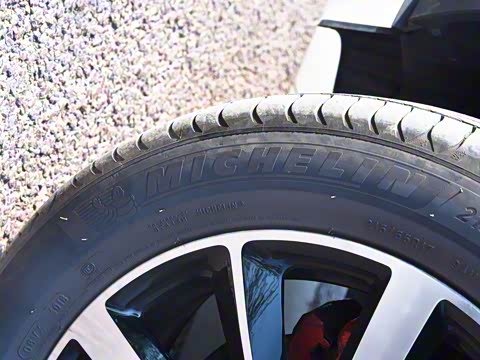 2019�� ������