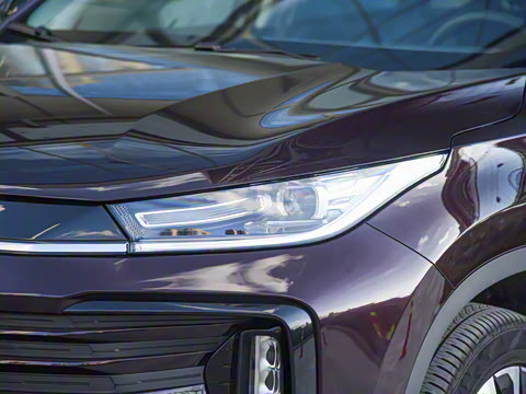 2021�� 290T ���������