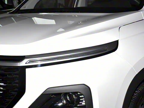 2021�� ȫ���������� 1.5T �ֶ������� 5��