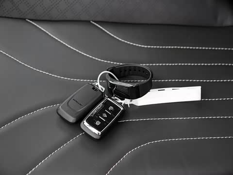 2018�� 1.5T �Զ����а�