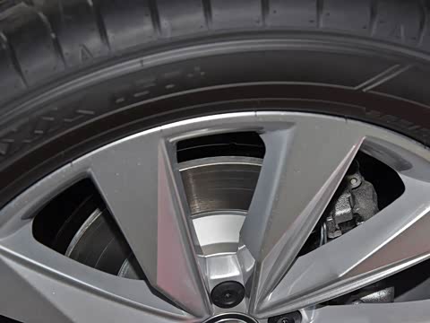 2020�� 330TSI ��������������Pro