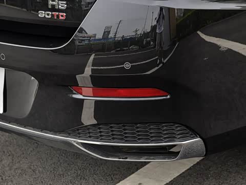 2019�� 30TD �����鶯��