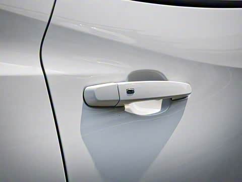 2020�� Redline 650T 7�� ����