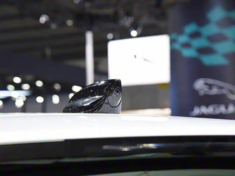 2021�� P300e ���ܿƼ���