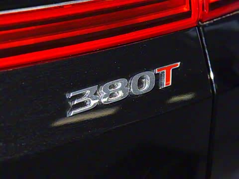 2019�� 380 TGDi GLS �Զ����������� ��V