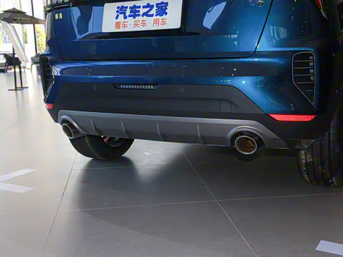 2020�� 1.5T �Ƽ��ȷ��