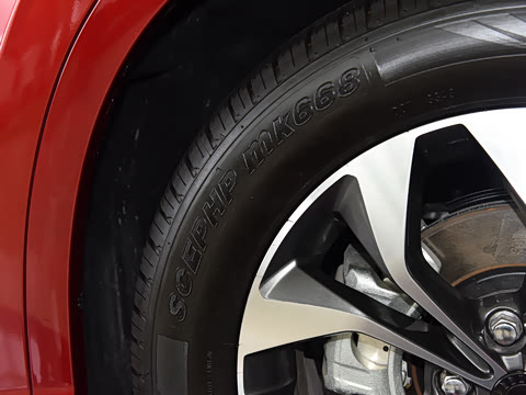 2019�� F�� 1.5T �Զ���۰� ��V