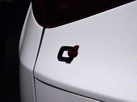 2019�� 2.9T 510HP F1������