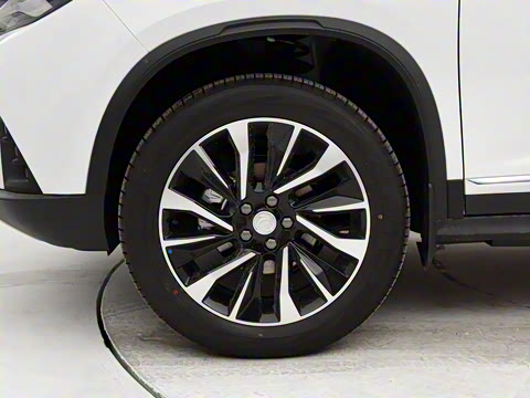 2020�� �Ŀ�� 1.5T �Զ������ 7��