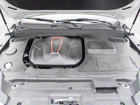 2019�� 2.0T �Զ��콢��