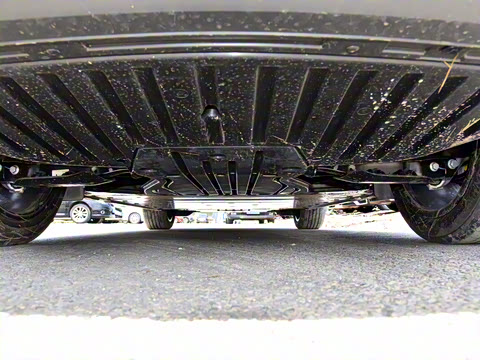 2021�� ������PURE+������