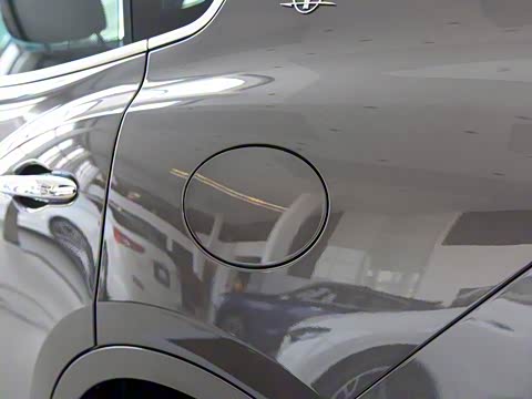 2019�� 3.0T ������ ��VI