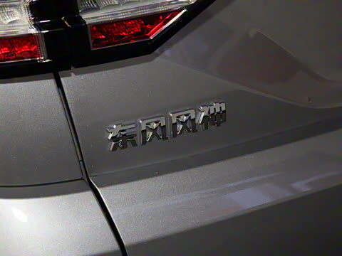 2021�� PRO 1.6T �Զ����ܰ�