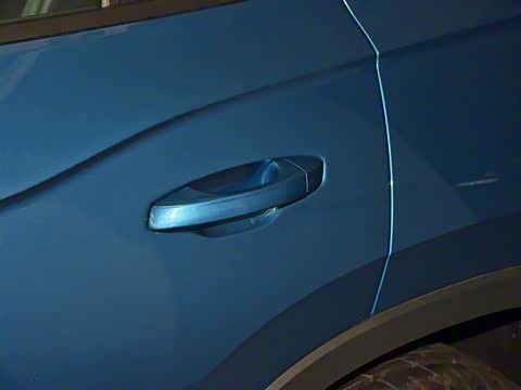 2020�� 330TSI ��������������Pro