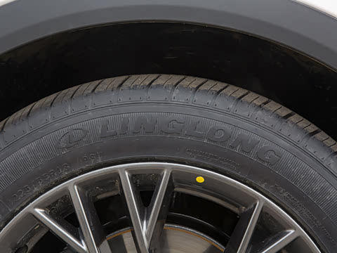 2021�� 1.5T �Զ��ֻ������