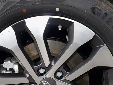 2019�� 1.5TCI �ֶ���Ӣ��