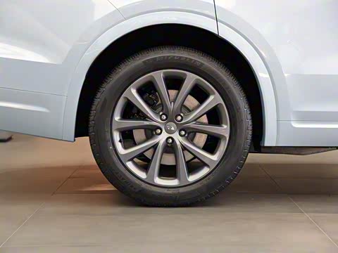 2019�� ����6����