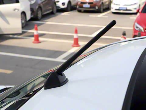 2019�� 3.0L ��׼��