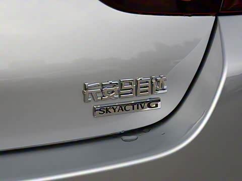 2020�� 1.5L �Զ����Ͱ�