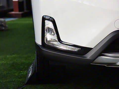 2019�� 1.5L ����������