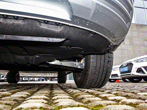 2019�� 55 quattro ������