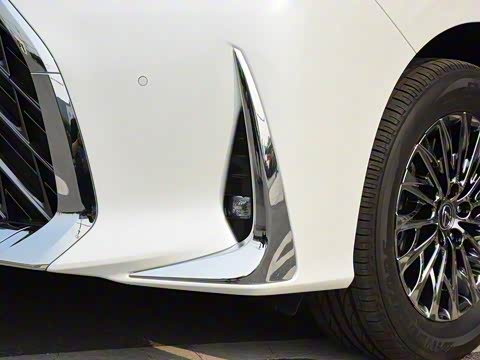 2020�� 300h ����������