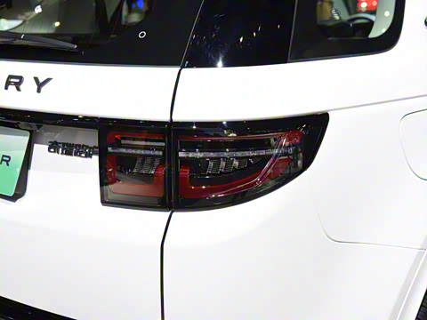 2021�� P300e ���ܿƼ���